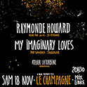 Concert, 18/11/2017 sans Raymonde Howard :-(